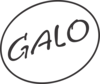 Logo GALO black